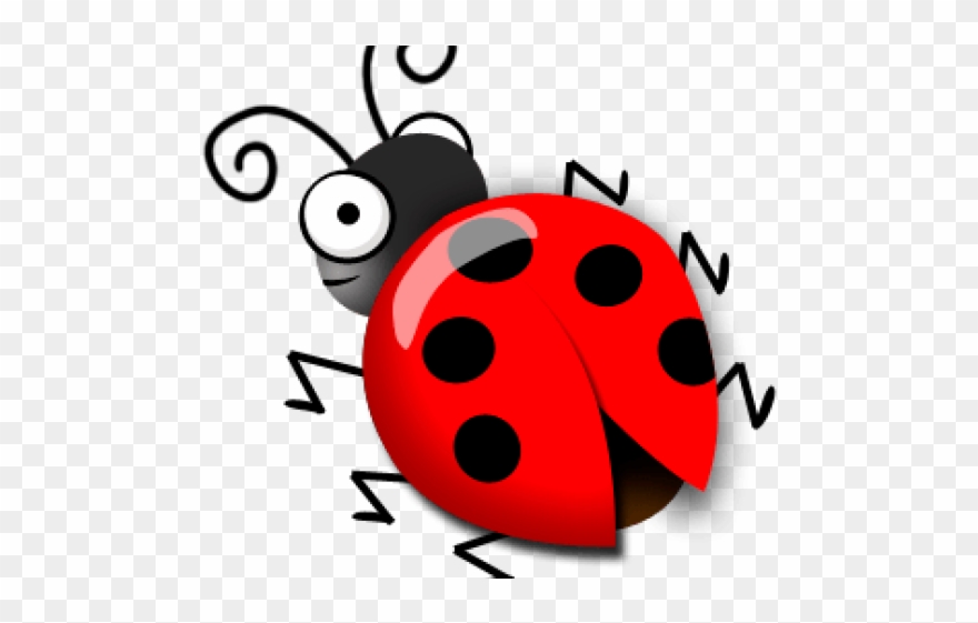 Drawn Ladybug Scientific - Ladybug Clipart