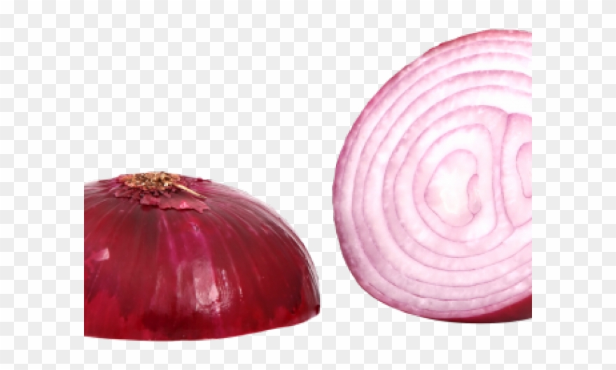 Onion Clipart Sliced Onion - Red Onion Png Transparent Png
