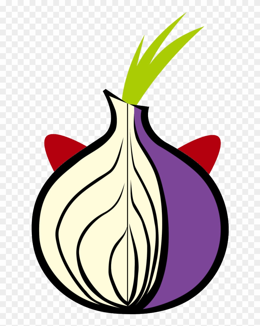Share This Open Letter From The Tor Diversity Project - Tor Onion Clipart