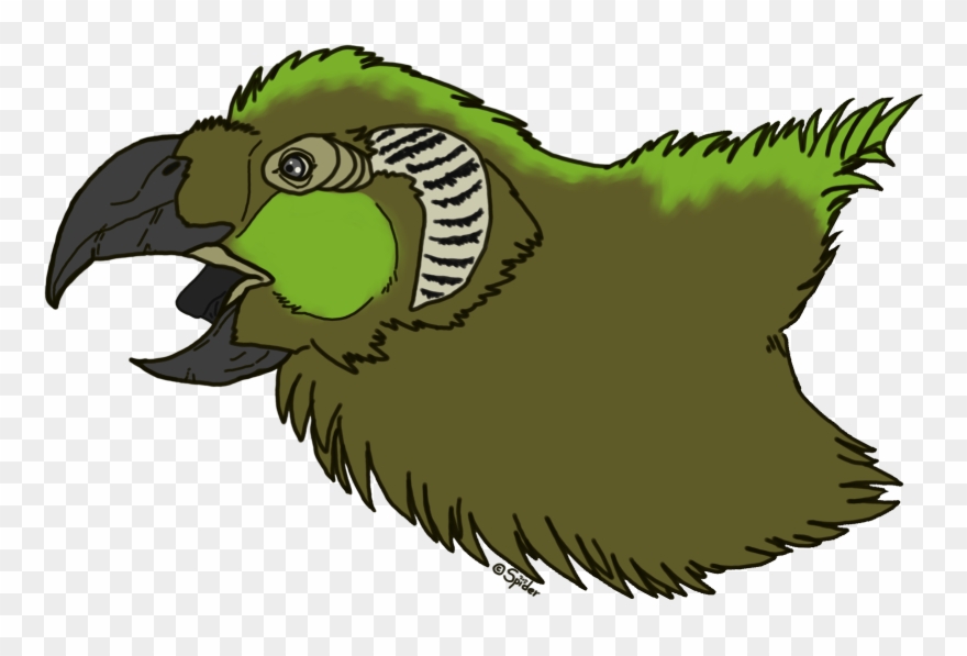 Parrot Griffin Headshot - Parrot Griffin Clipart