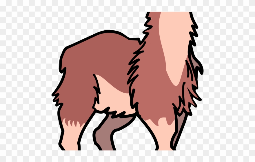 Llama Clipart Real - Clip Art - Png Download