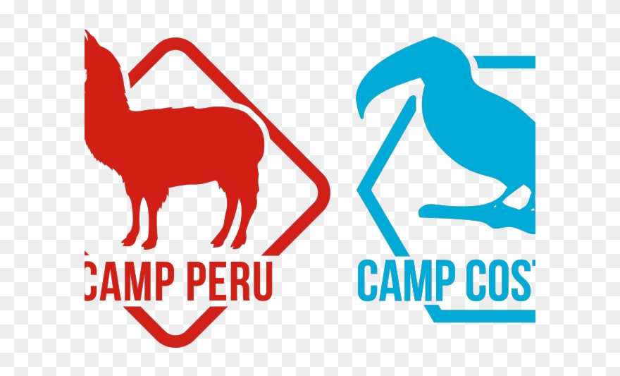 Llama Clipart South America Animal - Camps International Ecuador End Peru 2017 - Png Download