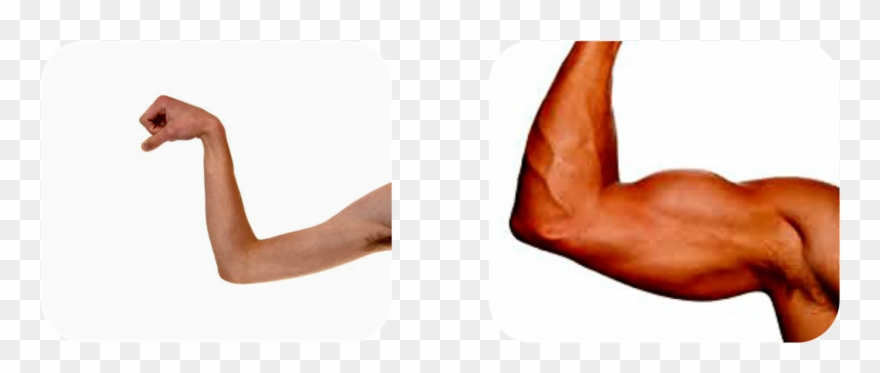 Strong And Weak Png Pluspng - Bodybuilding Clipart (#3213140) - PinClipart