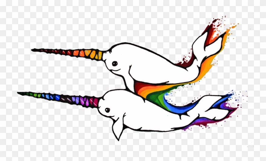 Rainbow Narwhals <3 Clipart