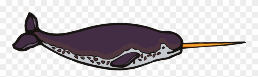 Narwhal Png Clipart