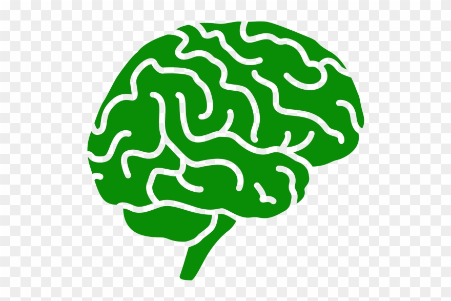 Neuroscience Clipart