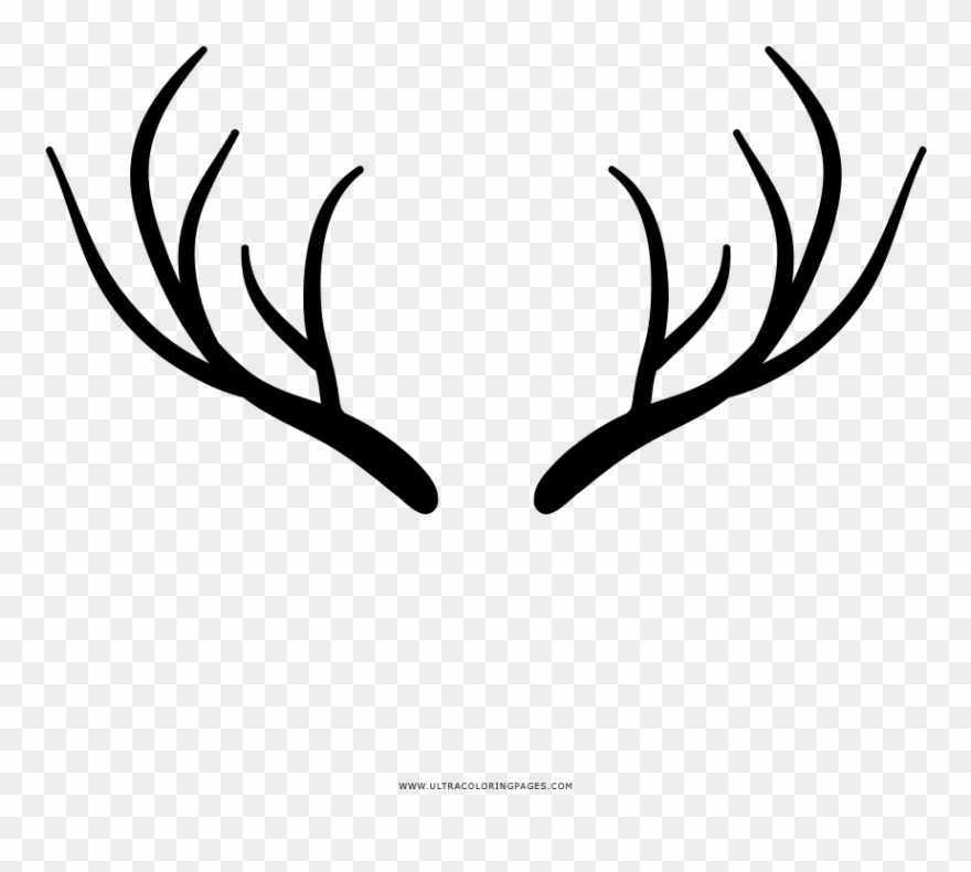 Deer Horns Coloring Page Clipart