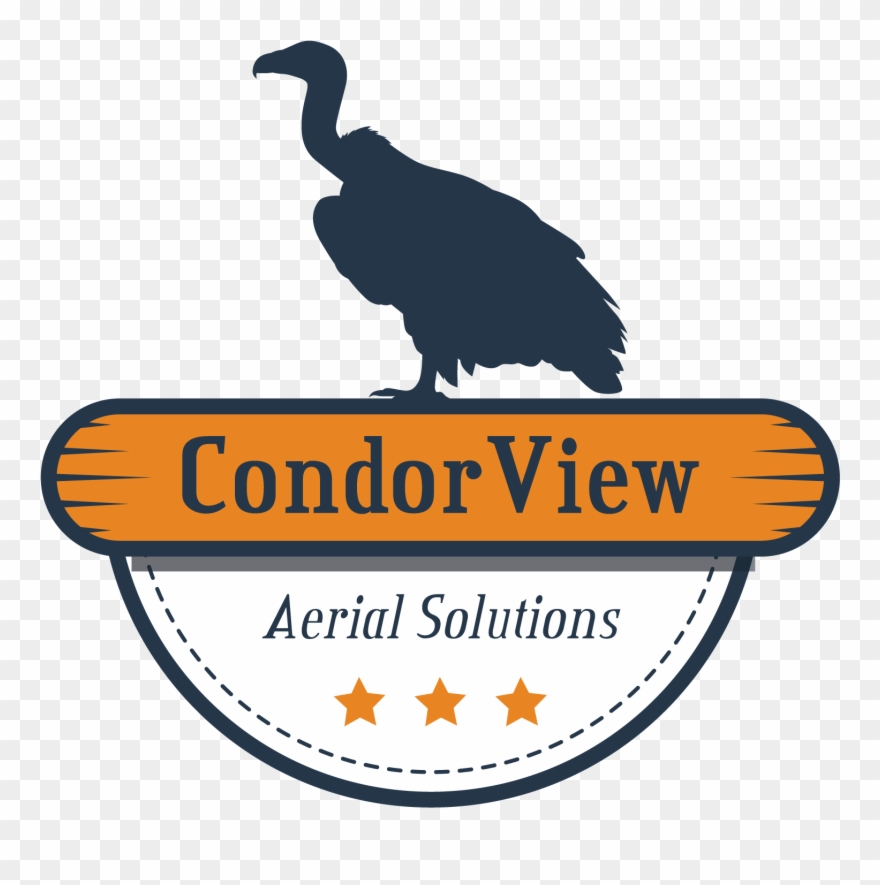 Elegant, Playful Logo Design For A Company In Australia - Flightless Bird Clipart