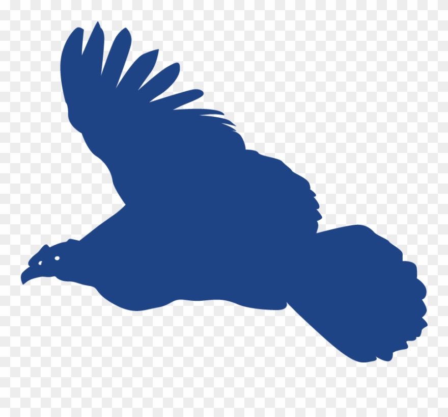 Andean Condor Gold Sponsor - Red Shouldered Hawk Clipart