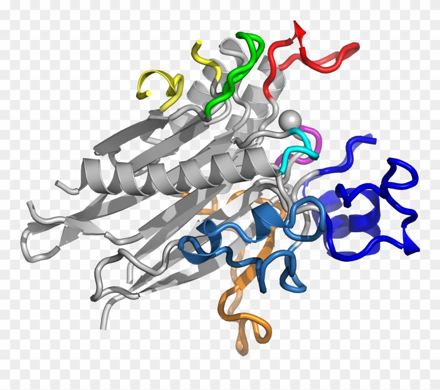 Researchers Define Structure Of Key Enzyme Implicated - Illustration Clipart