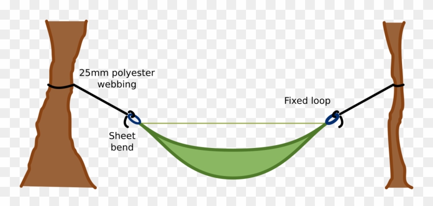 At Each End Of The Hammock You'll Have Long Tree Straps Clipart