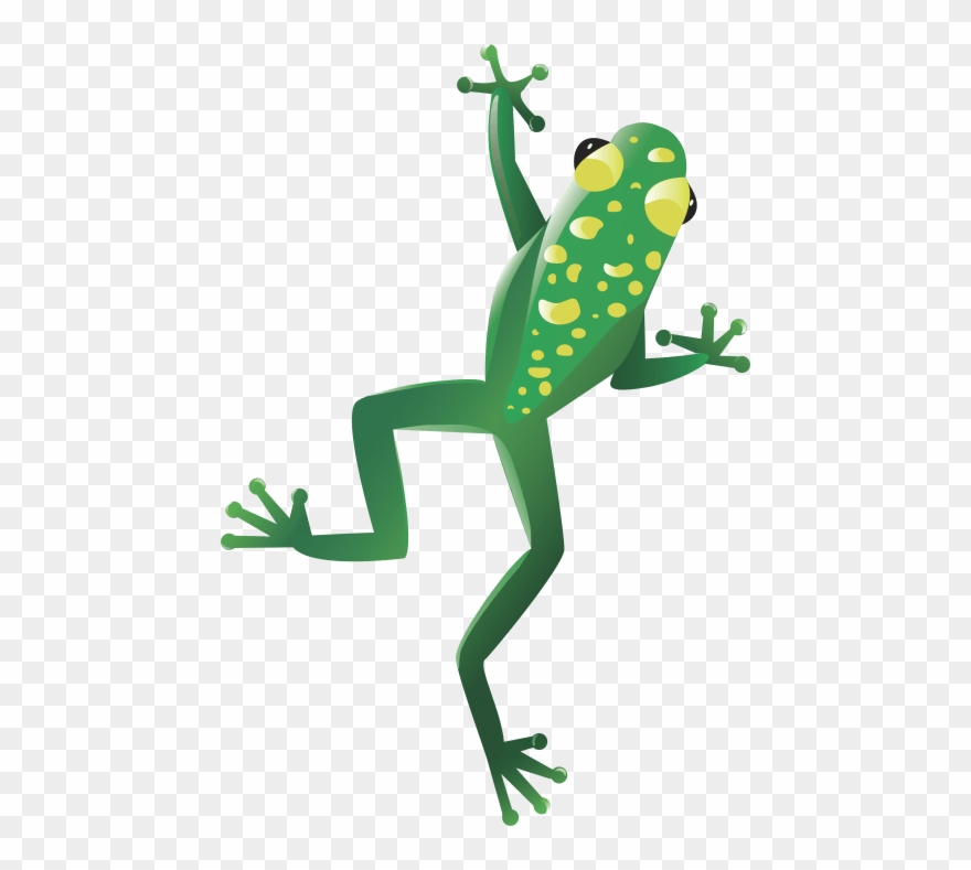 Free Png Frog Png Images Transparent - Frog Clipart