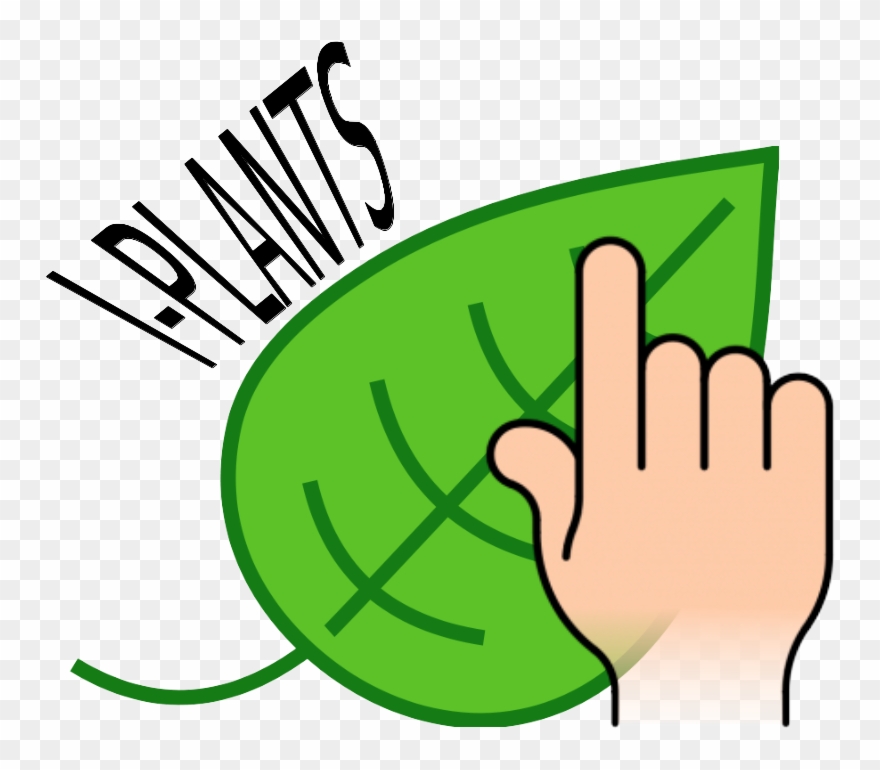 Logo - Simple Green Leaf Drawing Clipart