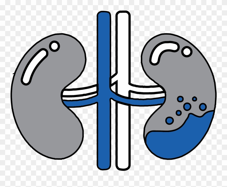 Nipro Renal Solutions Clipart