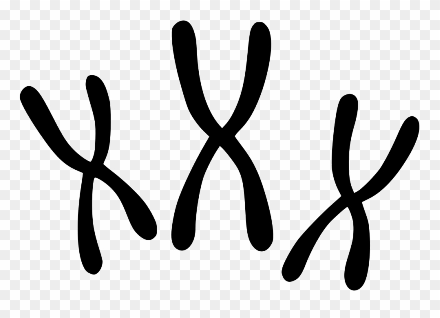 Chromosomes Comments - Chromosomes Icon Clipart