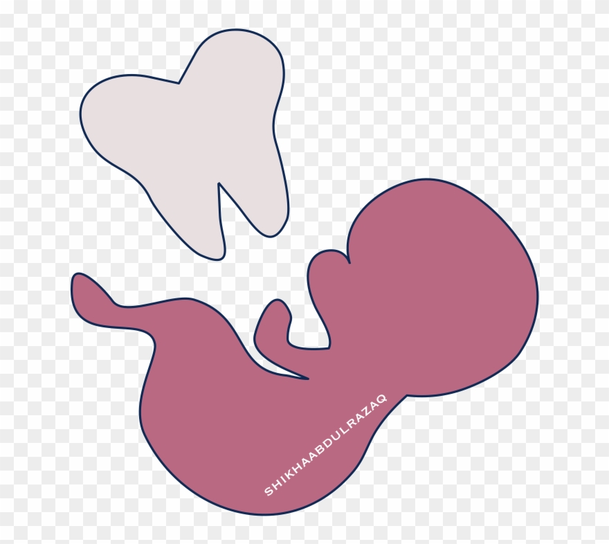 Pregnancy Dentistry The Studental - Illustration Clipart