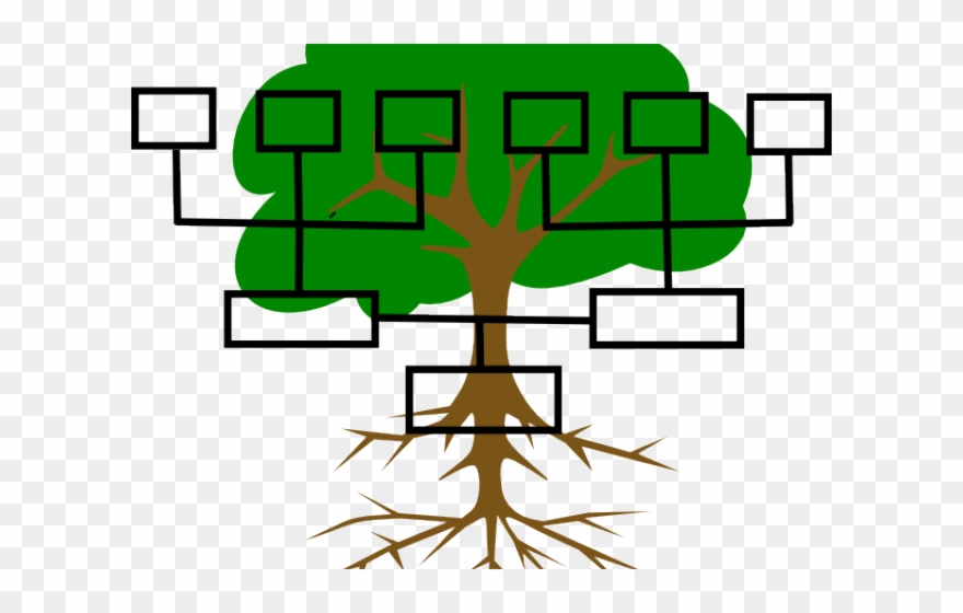 Family Line Cliparts - Blank Family Tree Clipart - Png Download