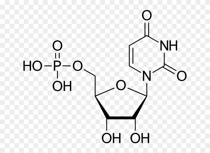 291 × 240 Pixels - Chemical Structure Clipart