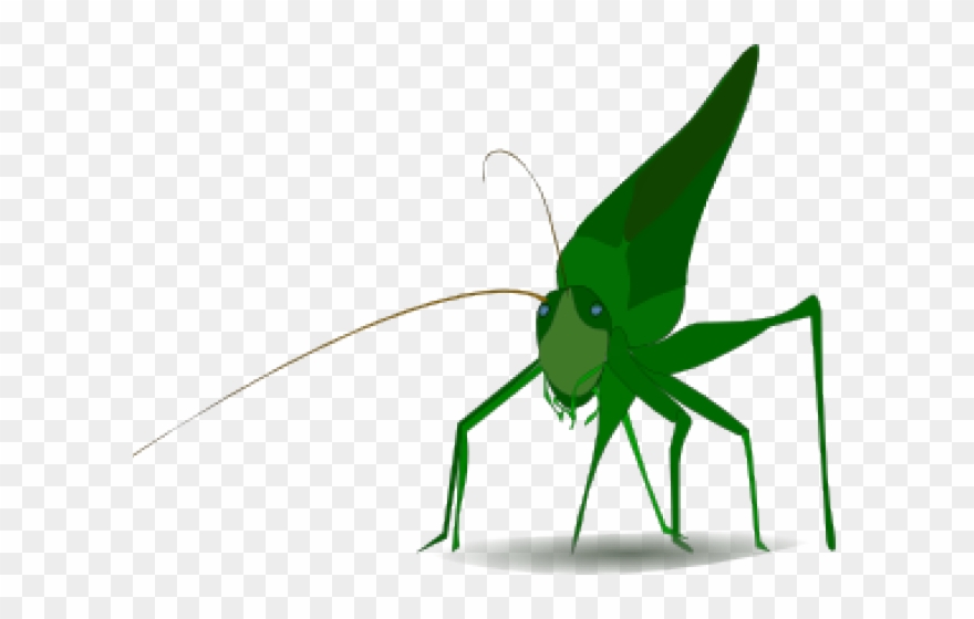 Border Clipart Insect - Grasshopper Clipart - Png Download