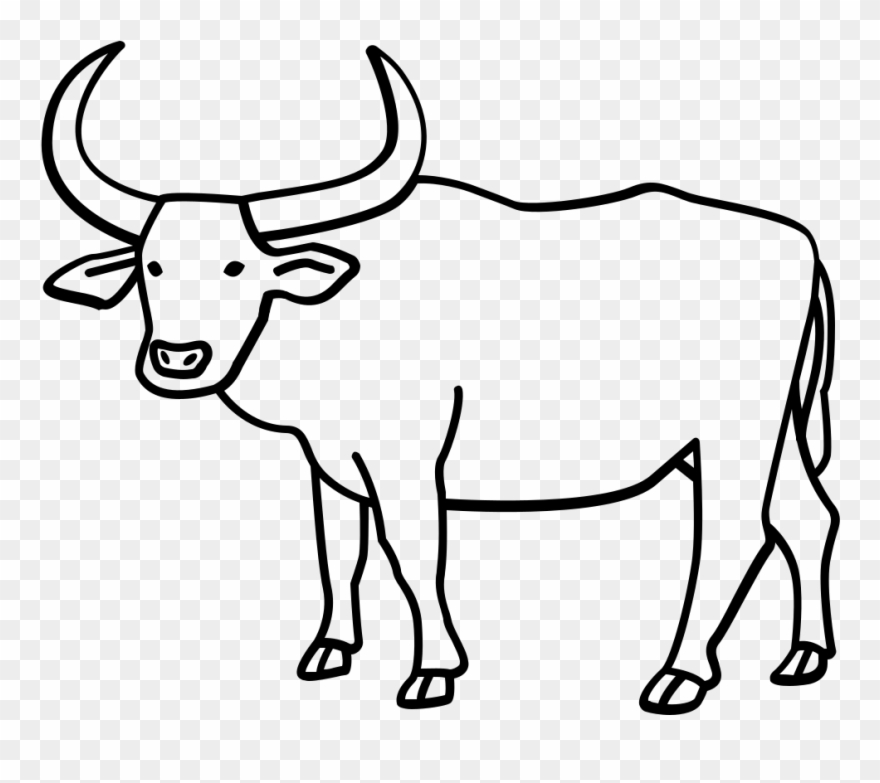 Gnu Clipart Female Buffalo - Drawing Of A Carabao - Png Download