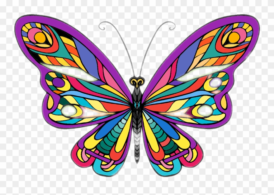 Report Abuse - Brush-footed Butterfly Clipart