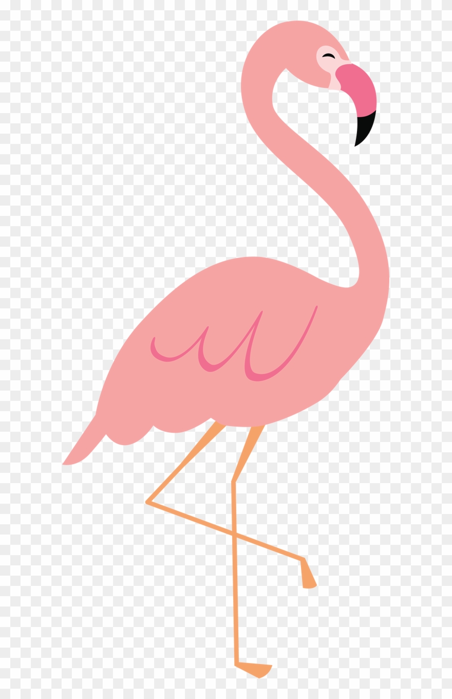 637 X 1280 1 - Greater Flamingo Clipart