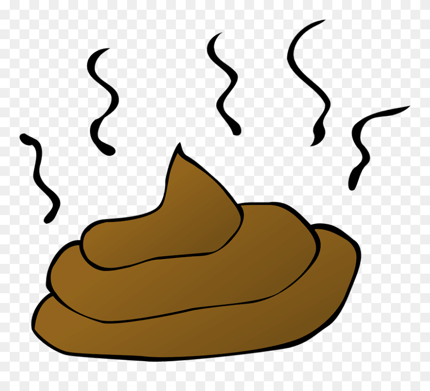 How Someone Else's Poop Can Save Your Life - Transparent Background Poop Clipart - Png Download