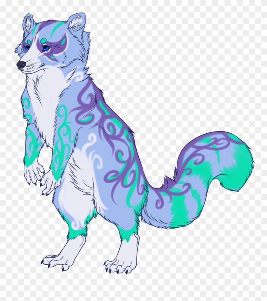 Raccoon For Sale - Cartoon Clipart