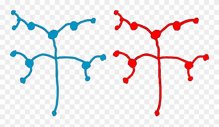 Here Are Some Simple Brain Nerve Paths Art That I Quickly Clipart