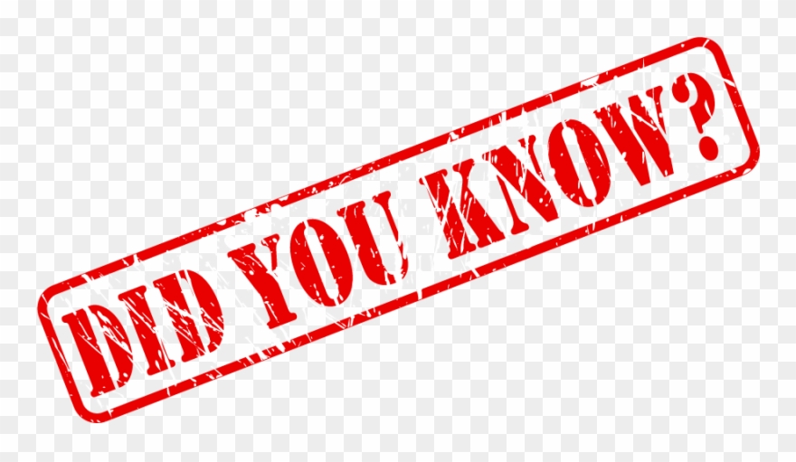 Fact Transparent Background - Fun Fact Transparent Clipart