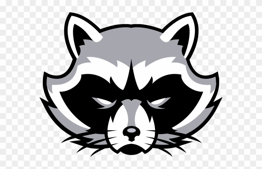 Cc144d14 - Raccoon Clipart - Png Download