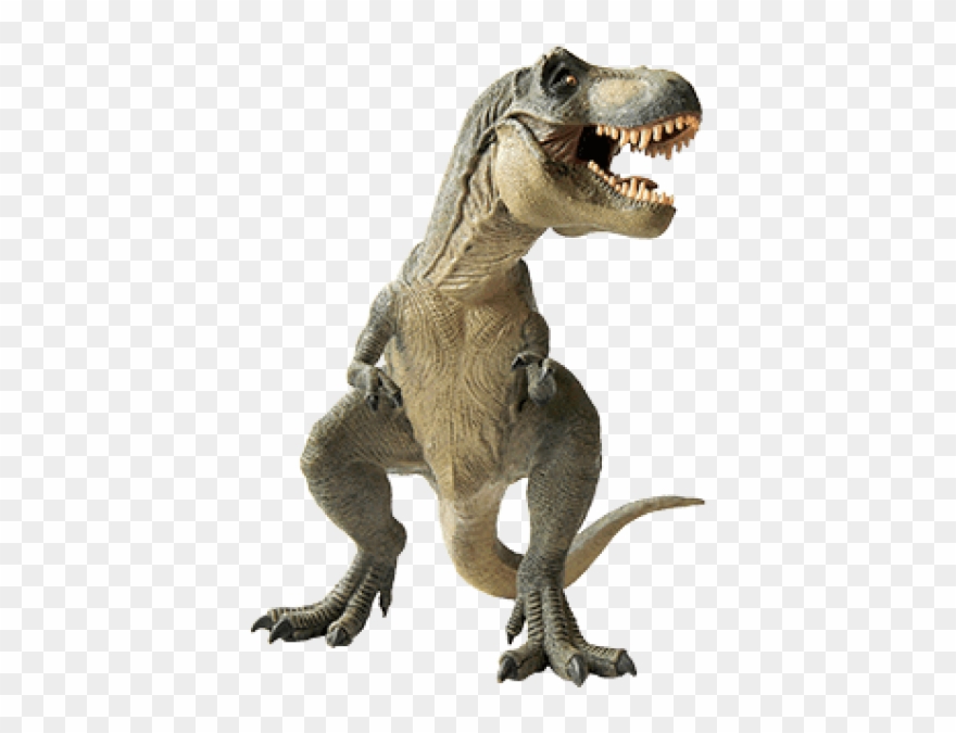 Free Png Download Dinosaur Standing Left Png Images - اسباب بازی دایناسور تیرکس Clipart