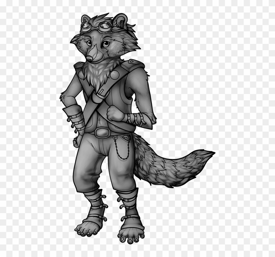 Raccoon - Illustration Clipart