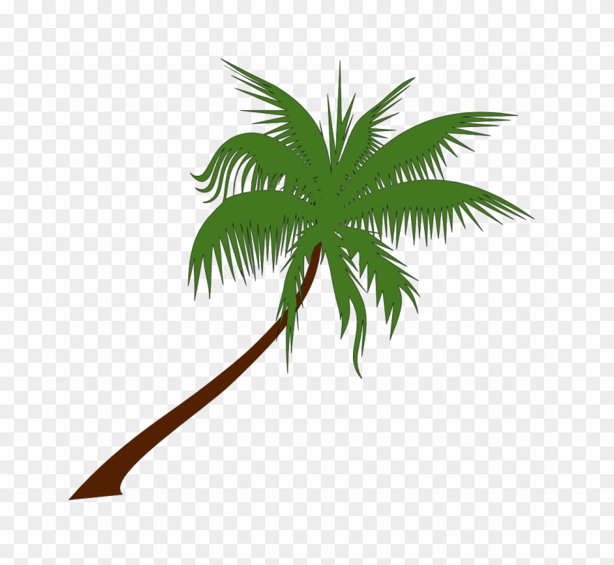 Medium Size Of Christmas Tree - Palm Tree Vector Png Clipart