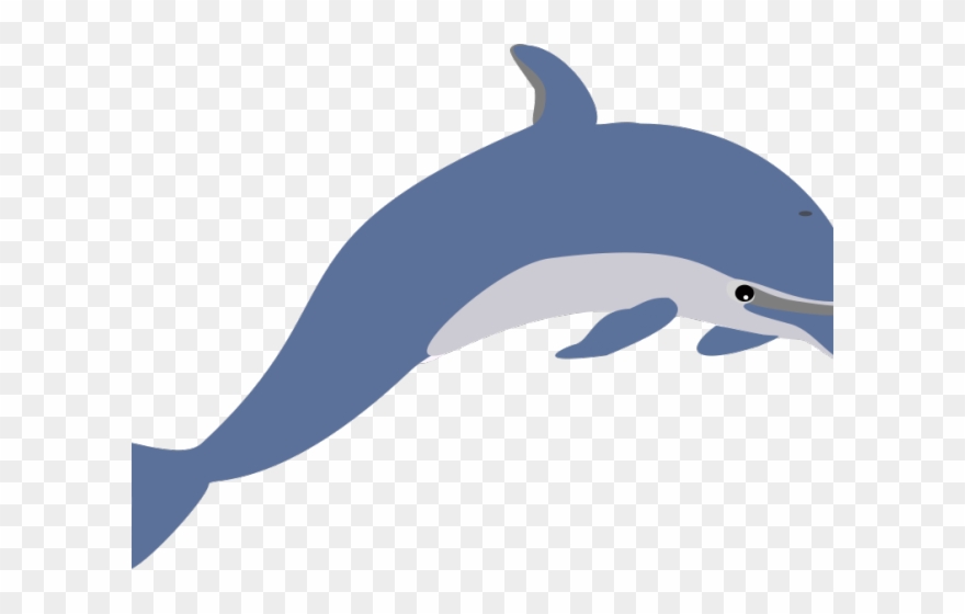 Dolphin Clipart Aquatic Animal - Free Clip Art Dolphin - Png Download