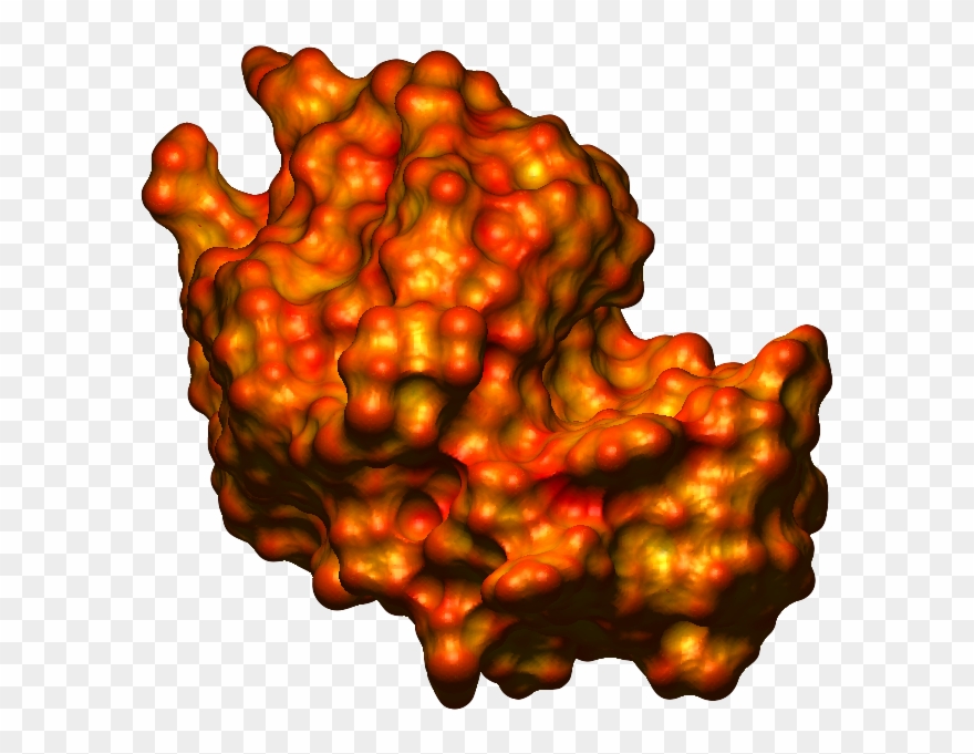 Biological Magnetic Resonance Data Bank - Illustration Clipart