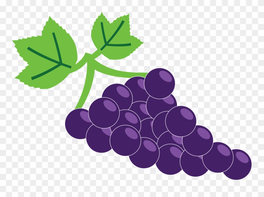 Saint Nicholas Bakaliko Logo - Seedless Fruit Clipart