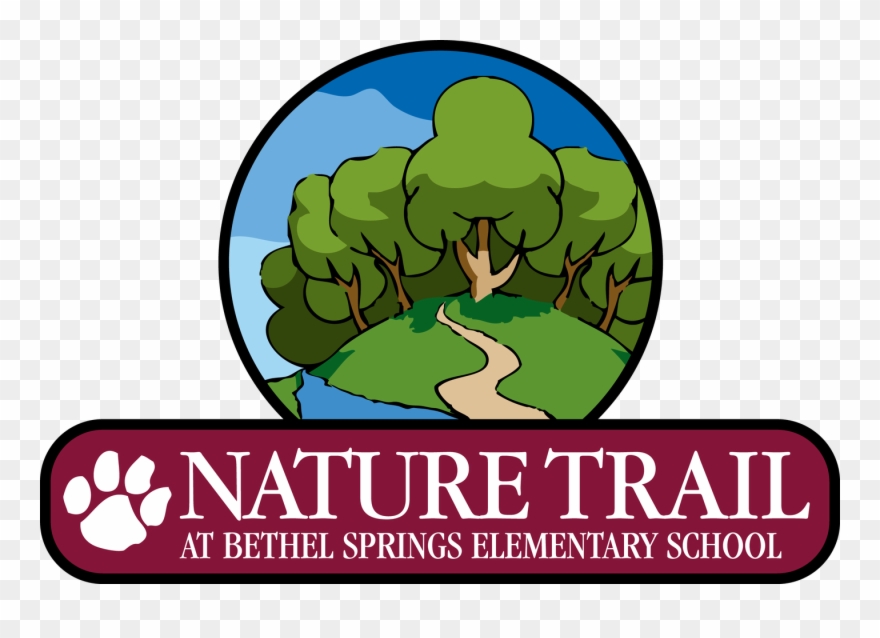 Gallery Image Clipart