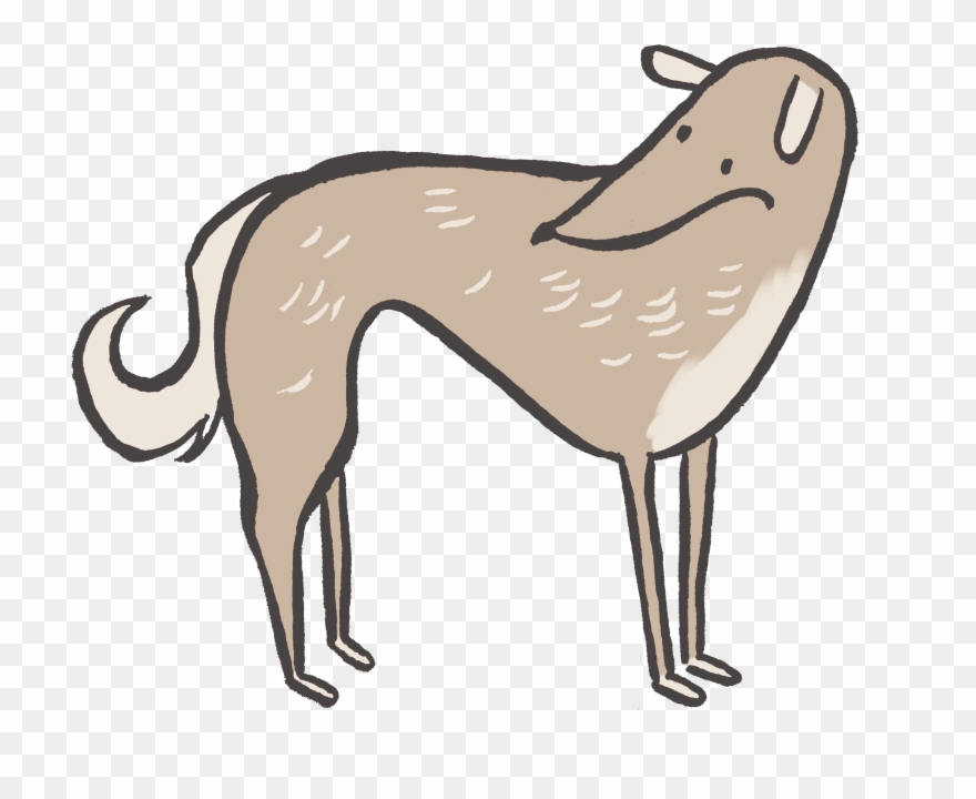 Little Dog Grooming Calgary Bath And Tidy - Dog Catches Something Clipart