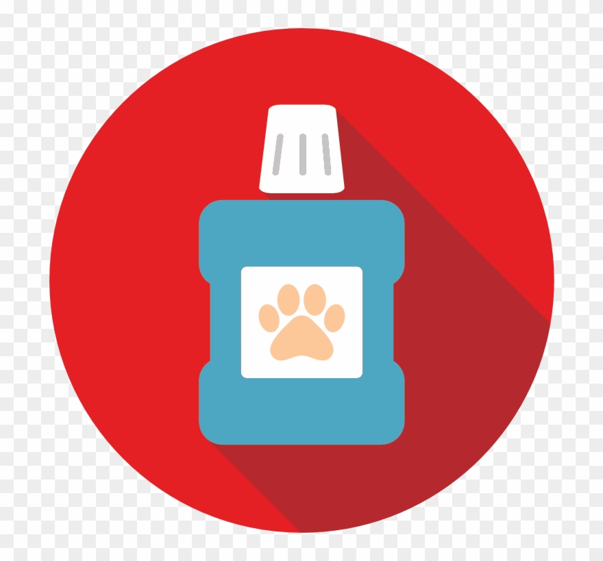 Spa Packages - Illustration Clipart