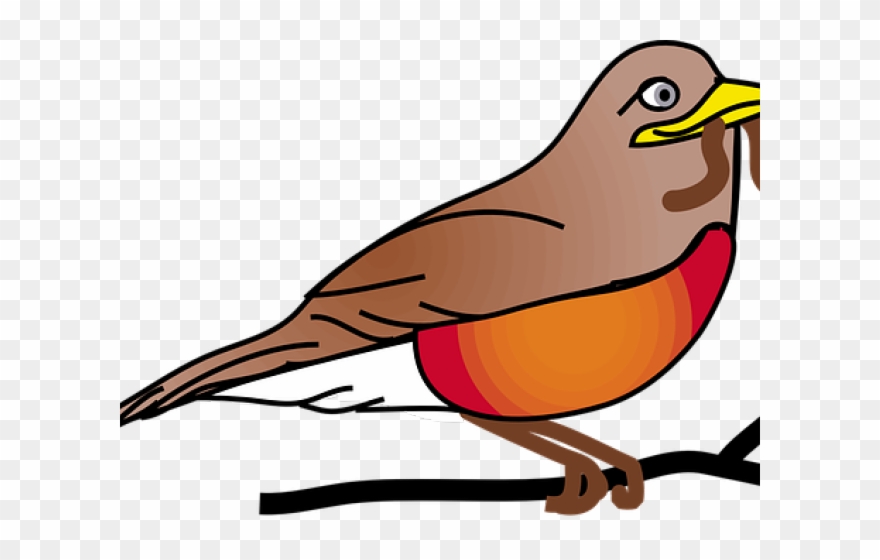 Robin Clipart Warbler - Robin Clip Art - Png Download