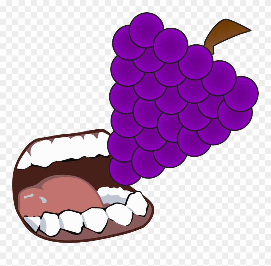 Grapevine Clipart Banner - Png Download