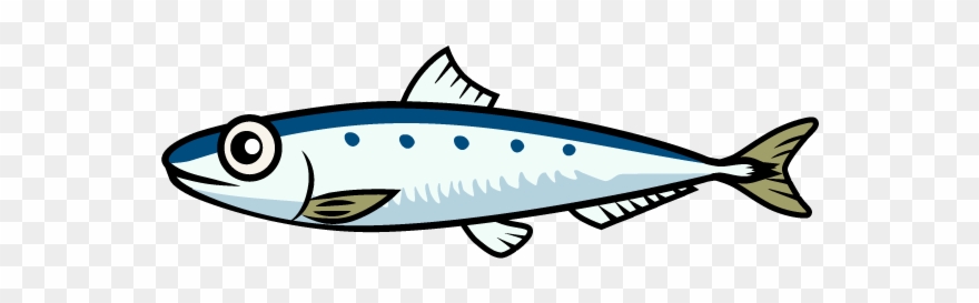 Anchovy Clipart