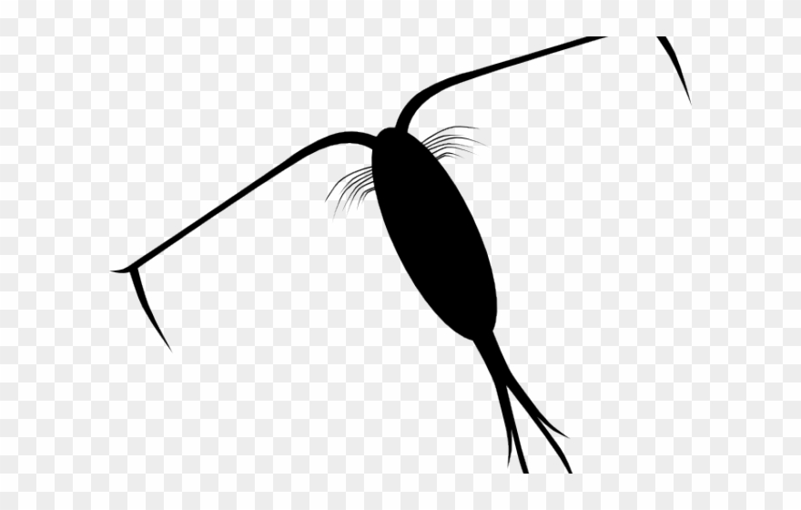 Plankton Cliparts - Plankton Clipart - Png Download