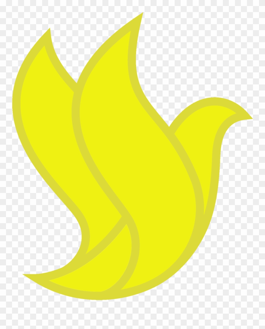 Still Life Photography Clipart