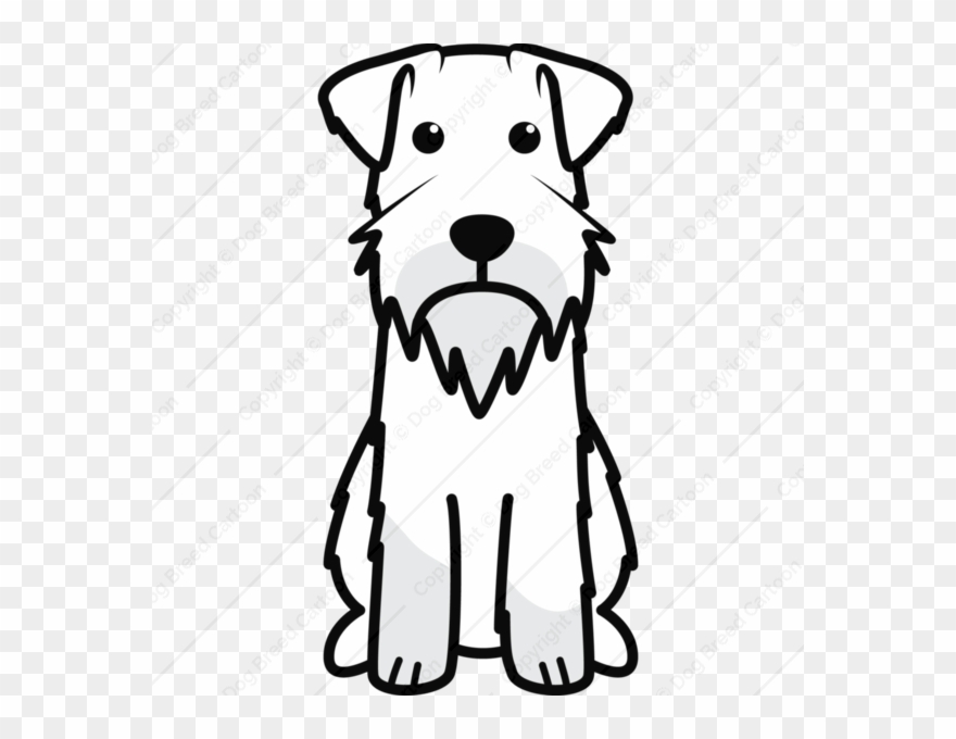 Perro Schnauzer Para Dibujar Clipart