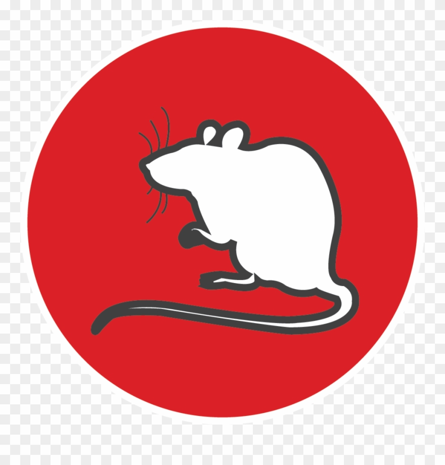 Adopt An Ex-lab Animal - Rat Clipart