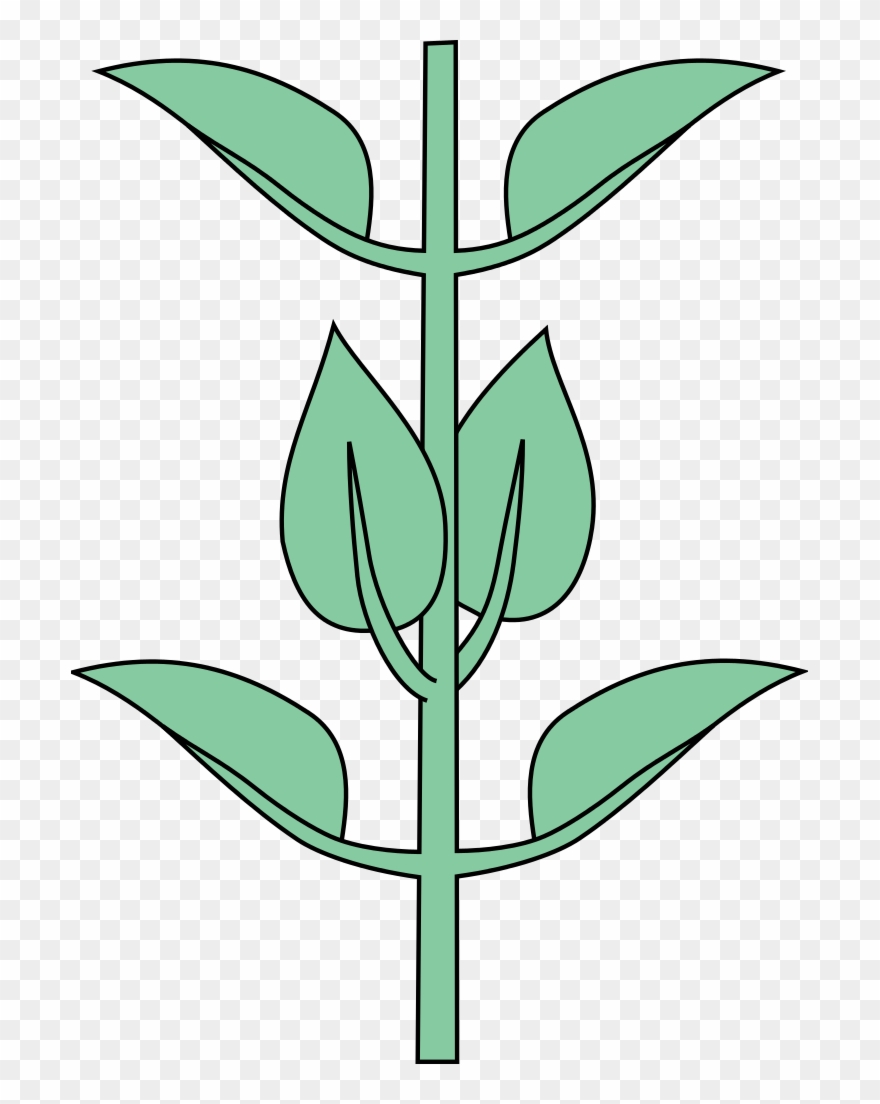 Get Free High Quality Hd Wallpapers Opposites Wiki - Opposite Decussate Clipart