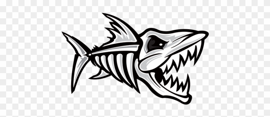 Bone Clipart Shark - Fish Skeleton - Png Download