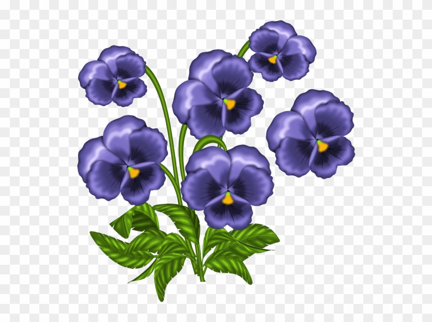 Wishing Well Flower Clipart, Wishing Well, Views Album, - Pansies Drawing .png Transparent Png